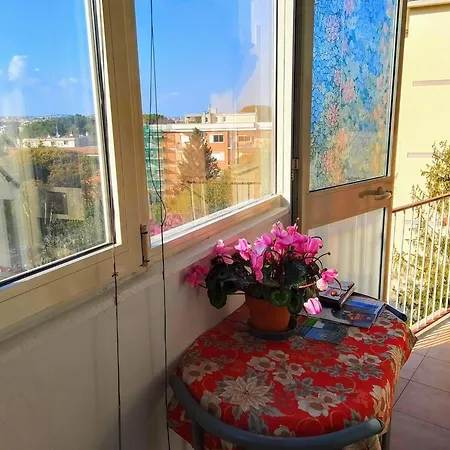 CASA Bella-3